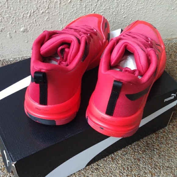 PUMA Genetics - Picture 10 of 13